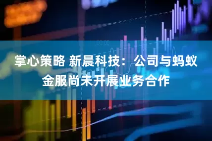 掌心策略 新晨科技：公司与蚂蚁金服尚未开展业务合作